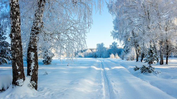 Зимний домик