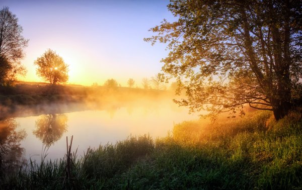 Утро рассвет