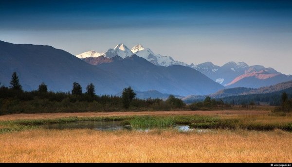 Север Казахстана природа