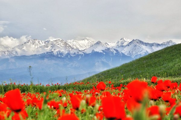Картины природы Казахстана