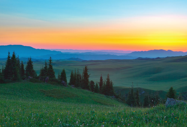 Север Казахстана природа