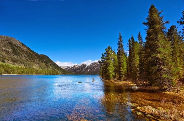 Алтай горный Маркоколь