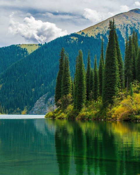 Кольсай Алма-Ата