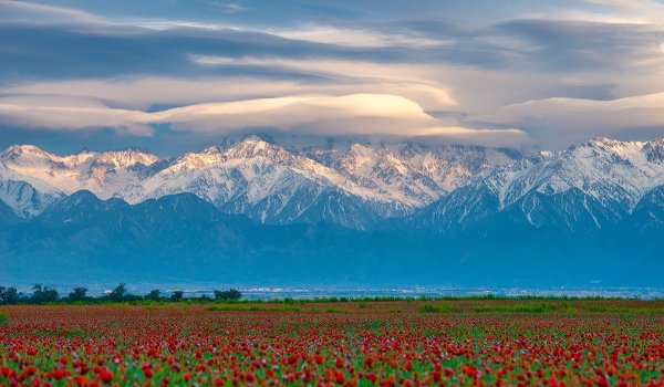 Жетысу Алатау гора