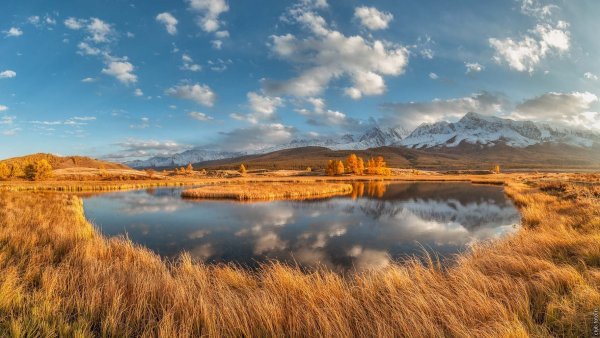 Сарпа (озеро, Волгоградская область)