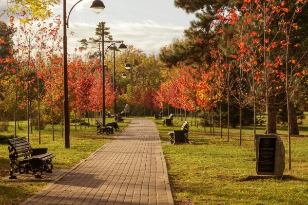 Ботанический парк Краснодар