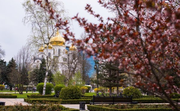 Весенний Краснодар Ставропольская