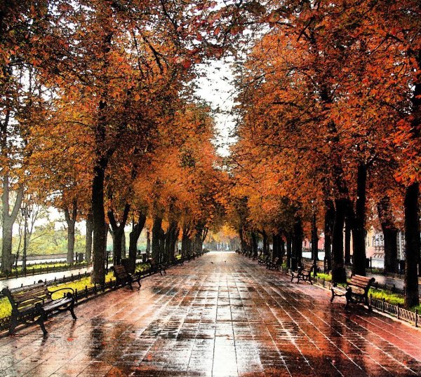 Одесса Приморский бульвар осень