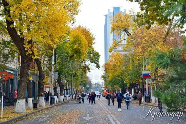 Аллея на красной Краснодар