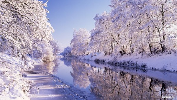 Зимняя красота