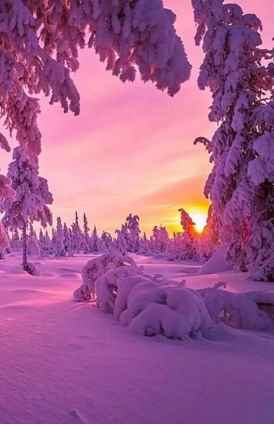 Красивая зима