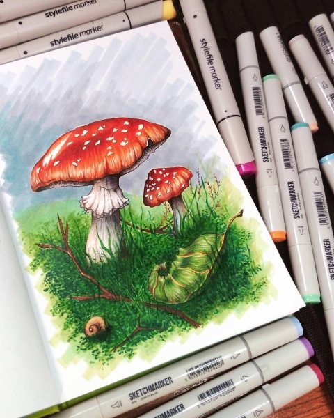 Рисунки маркерами