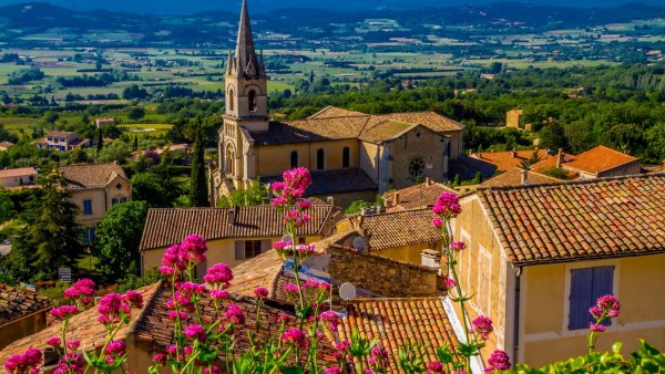 Грасс Франция цветы