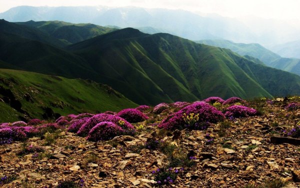 Арцах цветущие горы