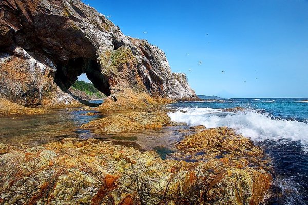 Природа Северного Сахалина