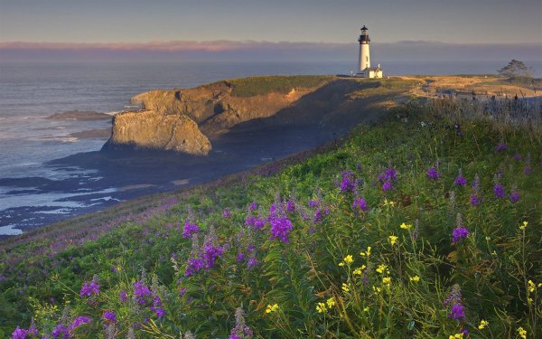 Сахалинская природа Маяк