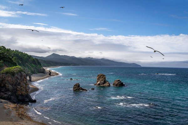 Остров Сахалин Дальний Восток