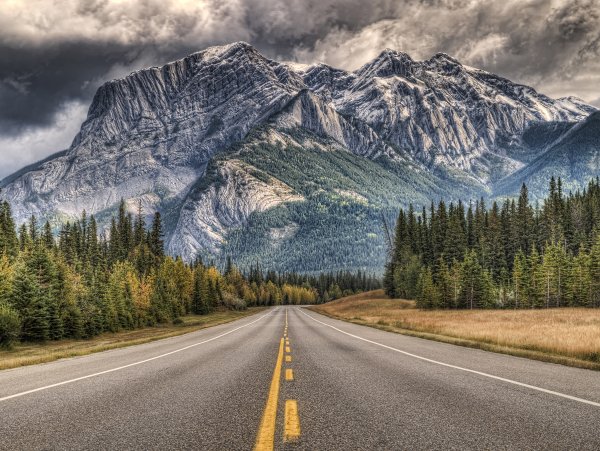 Пейзаж с дорогой