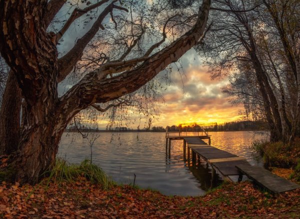 Природа Белоруссии самое красивое фото