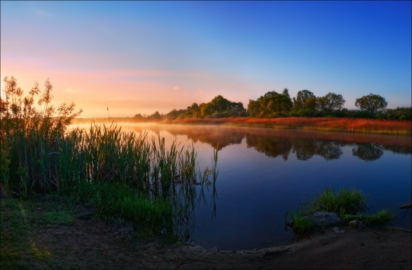 Беларуси природа в Белоруссии