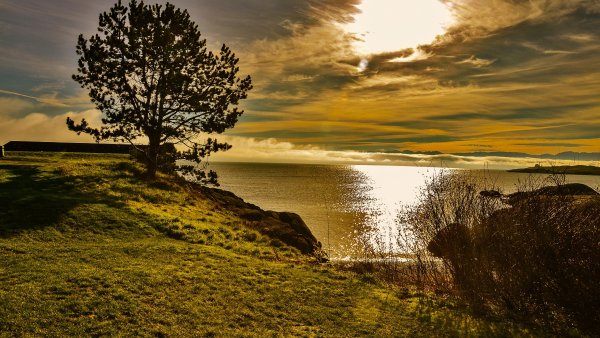 Природа горизонтальные