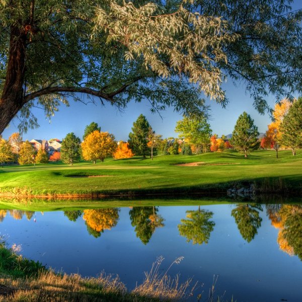 Компьютерная природа