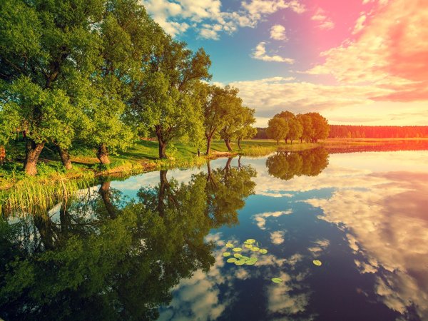 Река солнце деревья