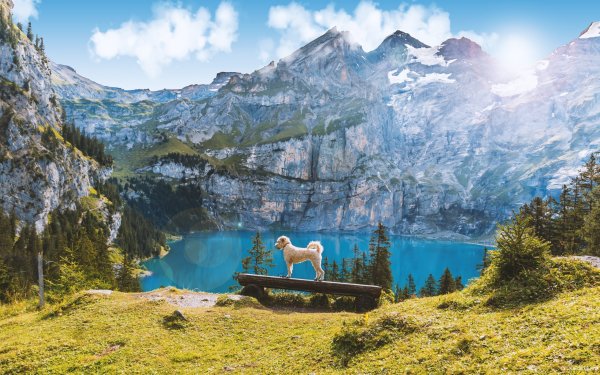 Швейцария озеро Зееальп Швейцария