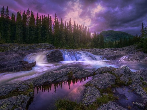 Красивая природа