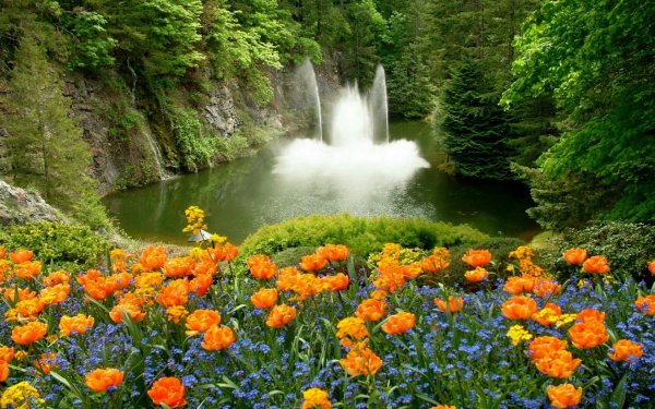 Озеро Текапо (Lake Tekapo)