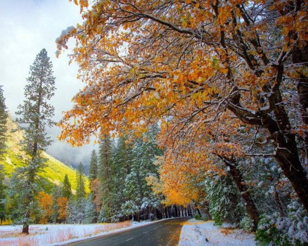 Снежная осень