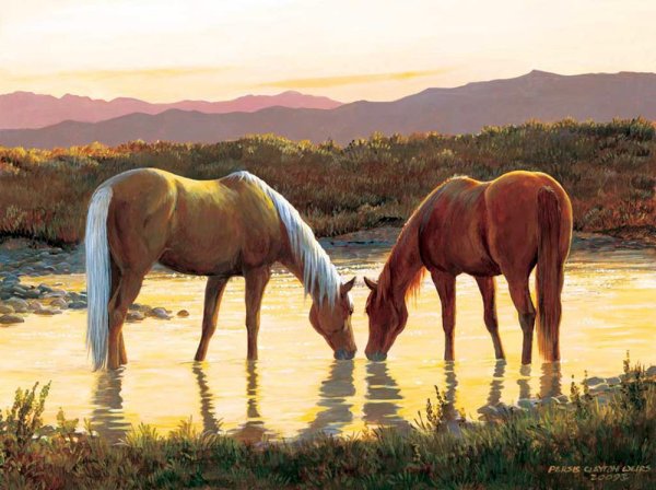 Персис Клейтон Вейерс лошади