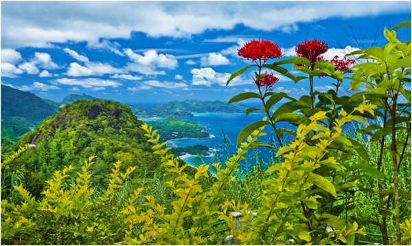 Эстетика природы