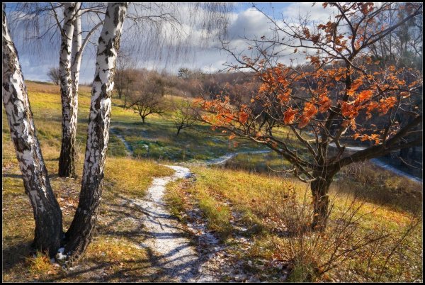 Природа поздняя осень