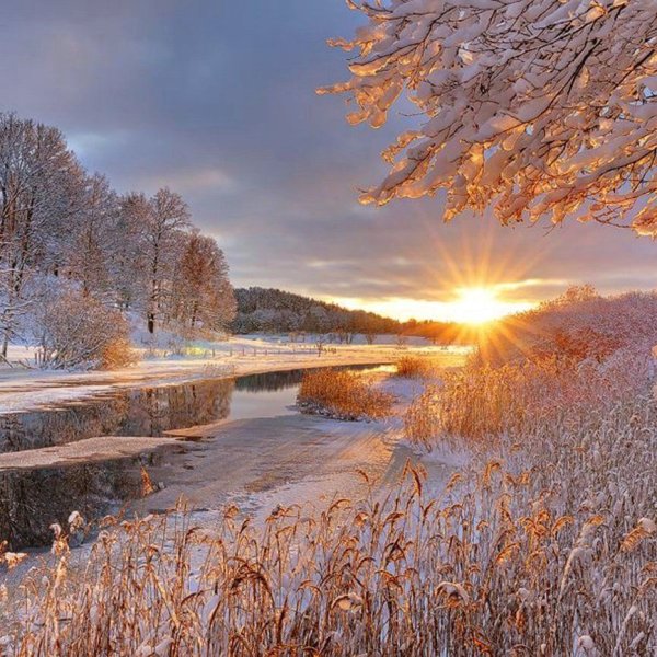 Солнечный зимний день