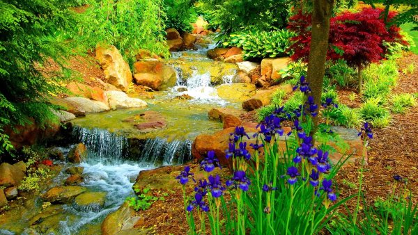 Природа водопад цветы