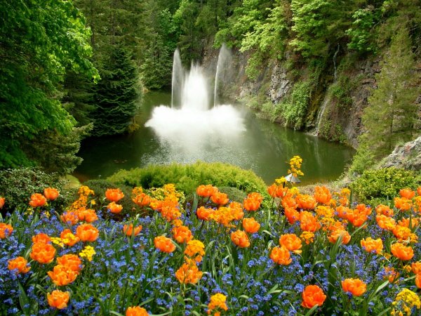 Весна водопад