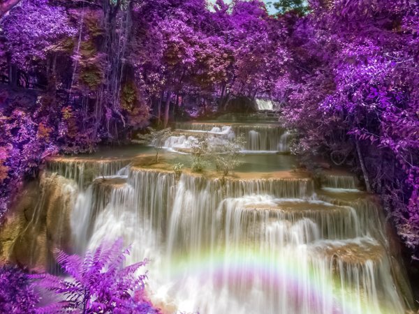 Фиолетовый водопад