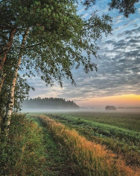 Русская природа