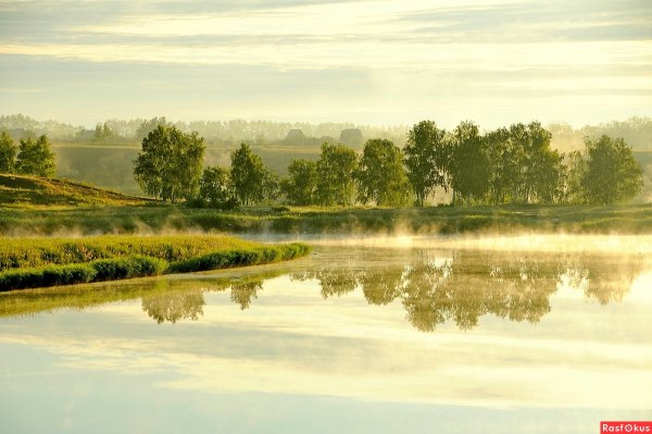 Природа Калачинска