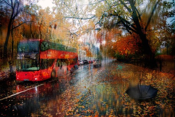 Эдуард Гордеев трамваи