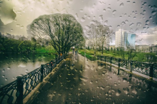 Весна дождь