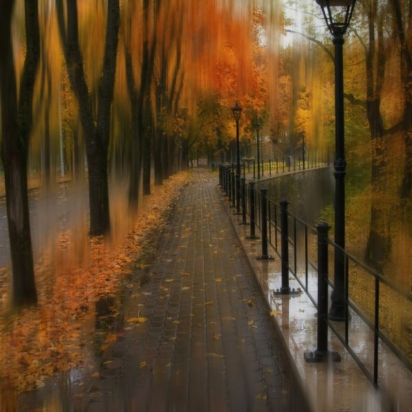 Дождливый парк