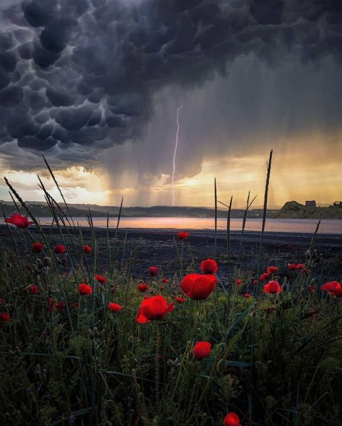 Природа перед грозой