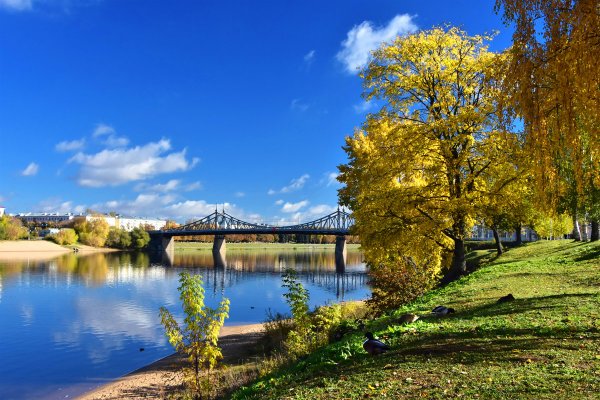 Природа города Твери