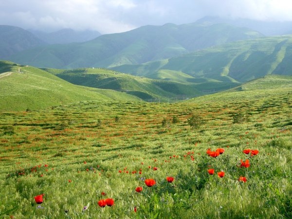 Копетдагские горы Туркменистана