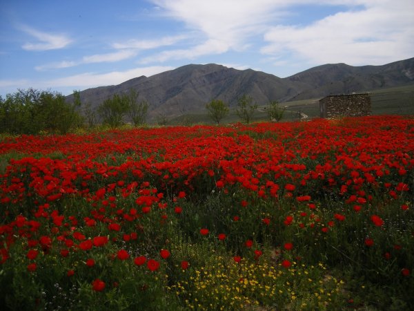 Нохур Туркменистан
