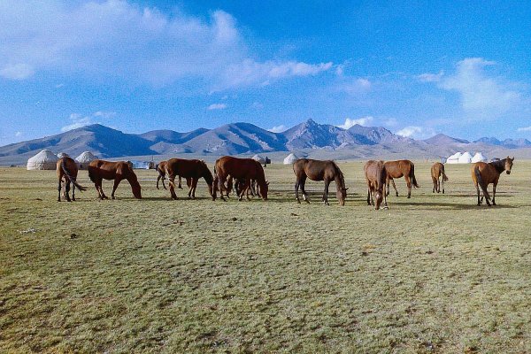 Пейзажи Туркменистана
