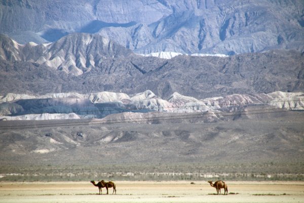 Эсенгулы город