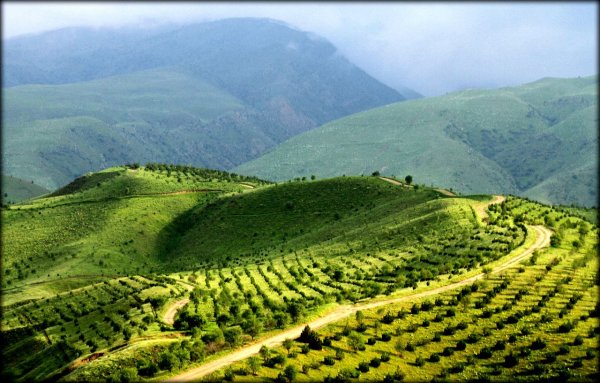 Южный Туркменистан природа